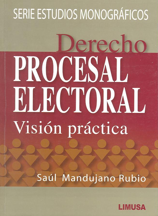 Derecho procesal electoral vignette